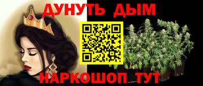 сатива Краснокаменск