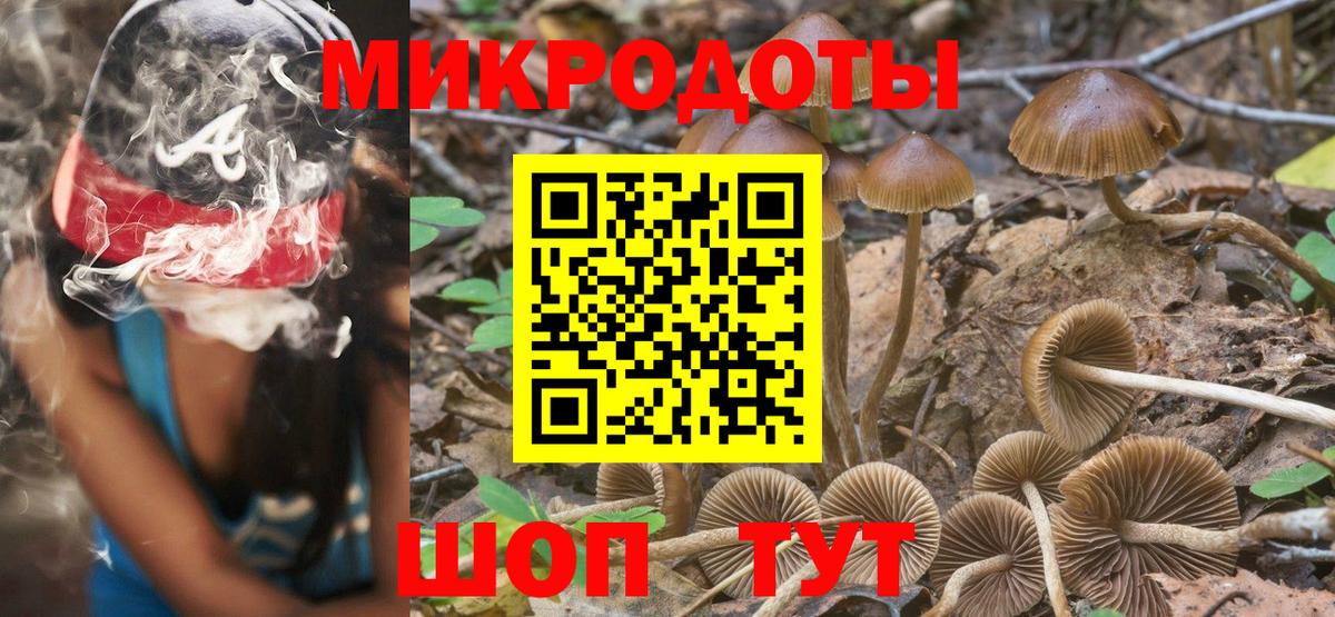 Железногорск  Галлюциногенные грибы прущие грибы  Вход с VPN 
