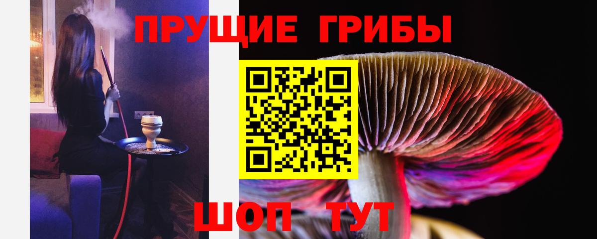 Псилоцибиновые грибы GOLDEN TEACHER Железногорск